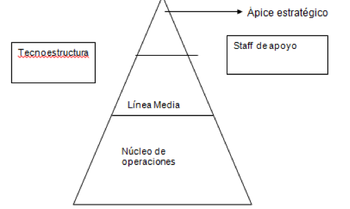 estructura organizativa vertical, 